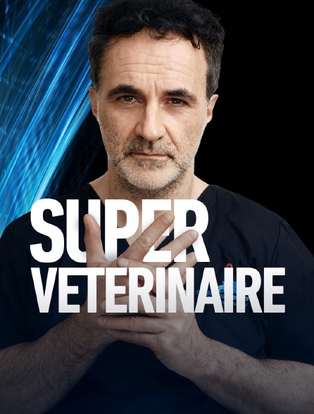 Super vétérinaire