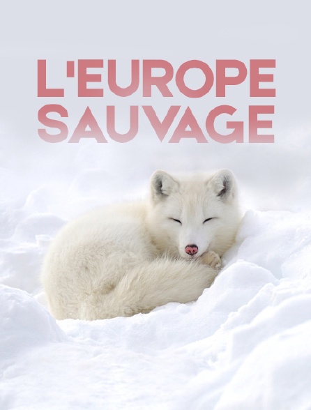 L'Europe sauvage