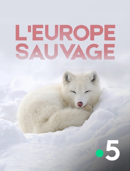 France 5 - L'Europe sauvage