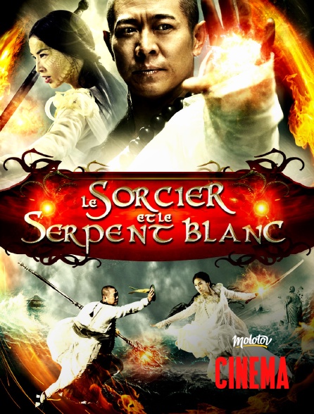 Molotov Channels Cinéma - Le Sorcier et le Serpent blanc