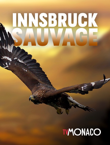 TV Monaco - Innsbruck sauvage