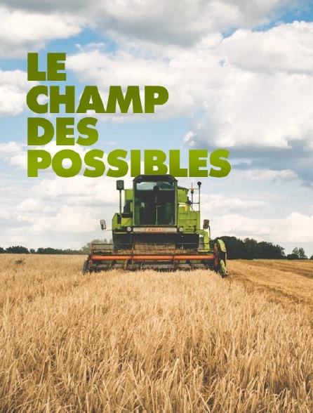 Le champ des possibles