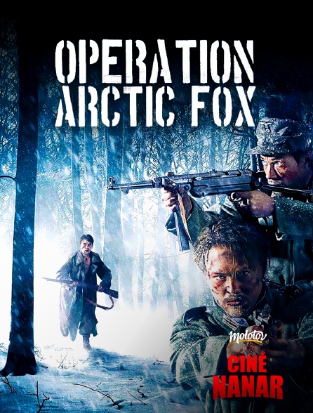 Ciné Nanar - Opération Arctic Fox