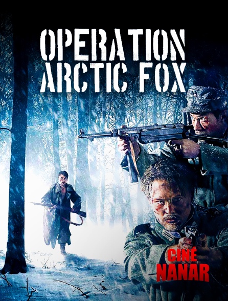 Ciné Nanar - Opération Arctic Fox