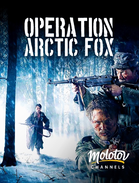 Mango - Opération Arctic Fox