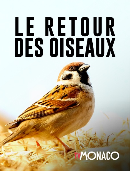 TV Monaco - Le retour des oiseaux