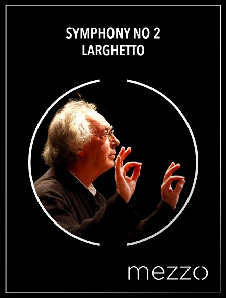 Mezzo - Symphony no 2 : Larghetto