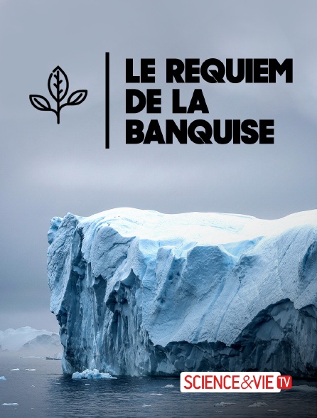 Science et Vie TV - Le requiem de la banquise