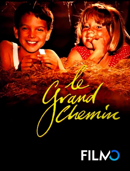 FilmoTV - Le grand chemin