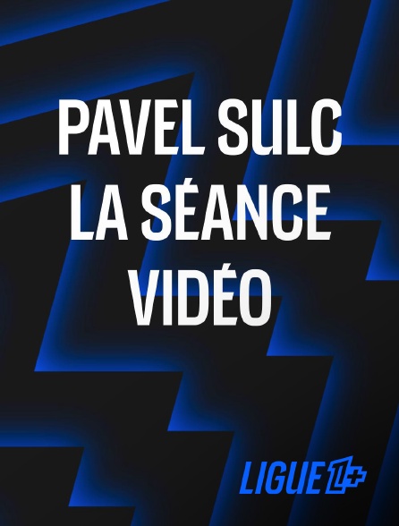 Ligue 1+ - Pavel Sulc, la séance vidéo (avec son chat)