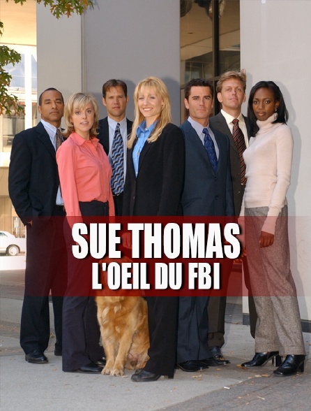 Sue Thomas, l'oeil du FBI