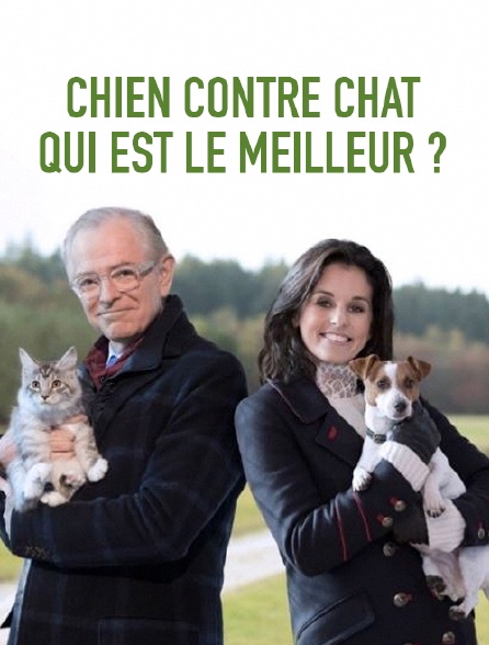 Chien contre chat : qui est le meilleur ?