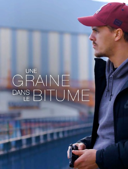 Une graine dans le bitume