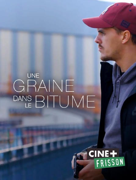 Ciné+ Frisson - Une graine dans le bitume