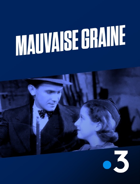 France 3 - Mauvaise graine