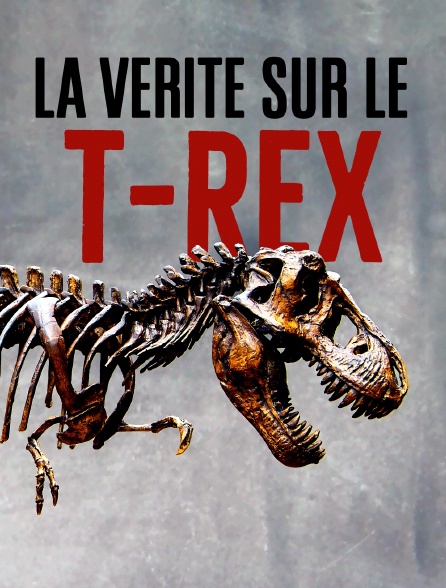 La vérité sur le T-Rex