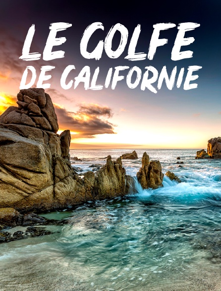 Le golfe de Californie