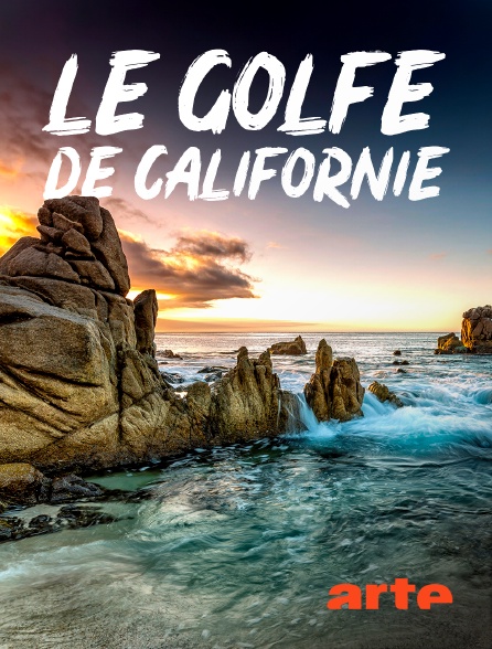 Arte - Le golfe de Californie