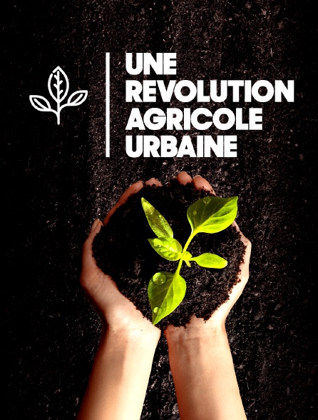 Une révolution agricole urbaine