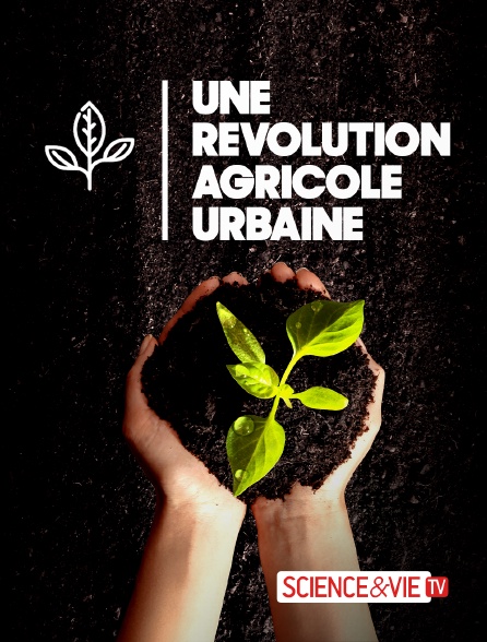 Science et Vie TV - Une révolution agricole urbaine