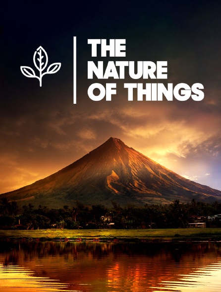 The Nature of Things