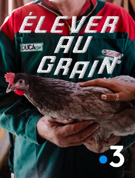 France 3 - Elever au grain