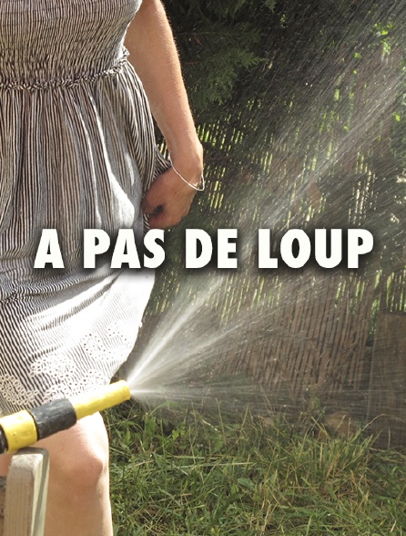 A pas de loup