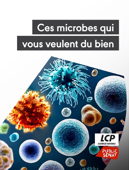 LCP Public Sénat - Ces microbes qui vous veulent du bien