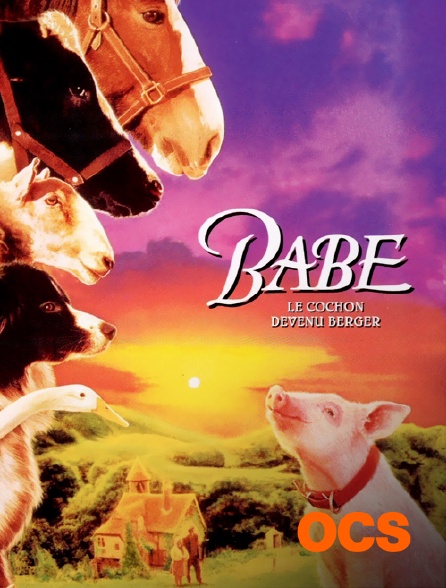 Babe Le Cochon Devenu Berger Streaming Vf Babe : le cochon devenu berger en Streaming sur OCS - Molotov.tv