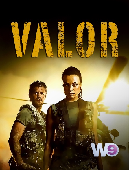 W9 - Valor