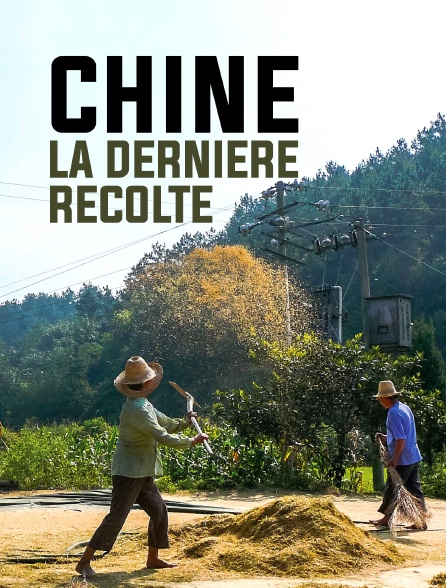 Chine, la dernière récolte