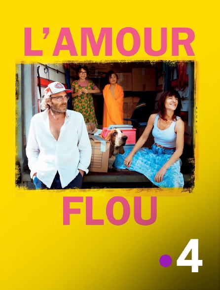 France 4 - L'amour flou