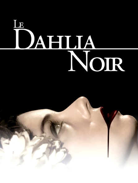 Le dahlia noir