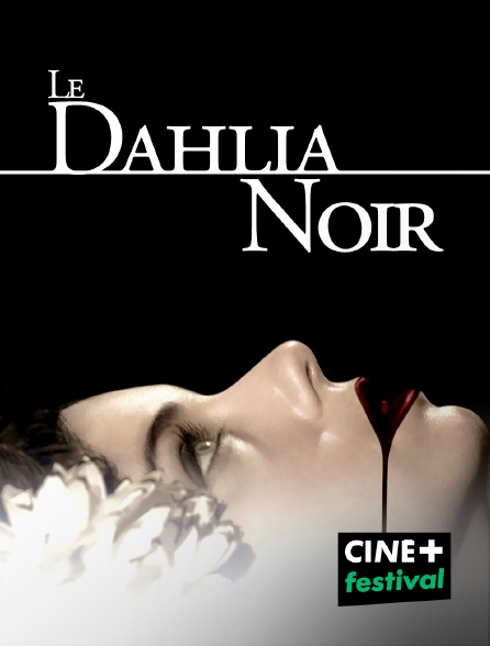 CINE+ Festival - Le dahlia noir