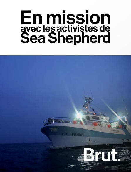 Brut - En mission avec les activistes de Sea Shepherd