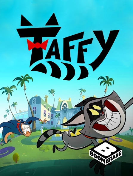 Boomerang - Taffy