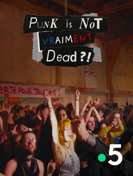 France 5 - Punk is not vraiment dead ?!