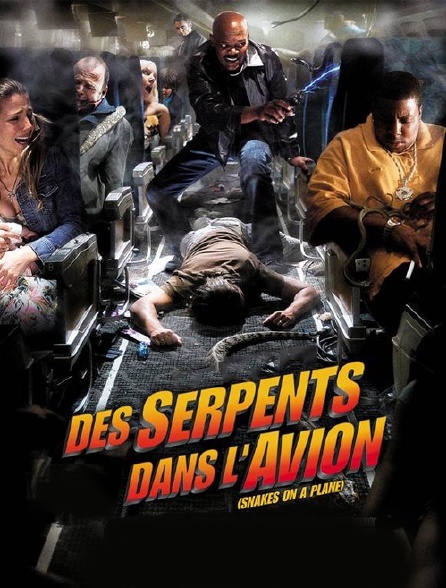 Des serpents dans l'avion