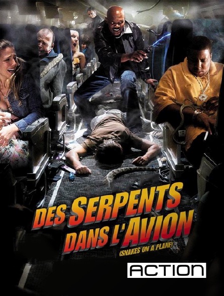 ACTION - Des serpents dans l'avion