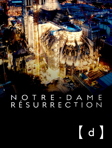 France TV Docs - Notre-Dame Résurrection