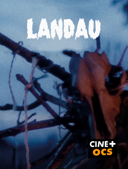 CINÉ Cinéma - Landau en replay