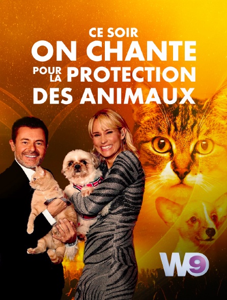 W9 - Ce soir on chante pour la protection des animaux