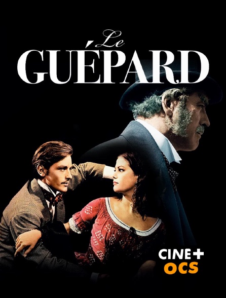 CINÉ Cinéma - Le Guépard