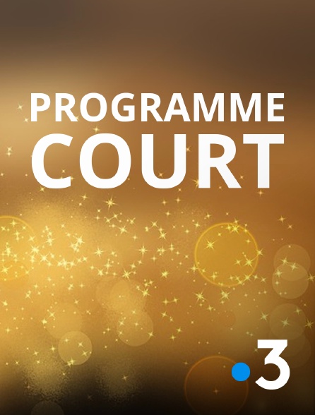 France 3 - Programme court