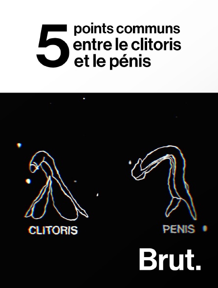 Brut - 5 points communs entre le clitoris et le pénis en replay
