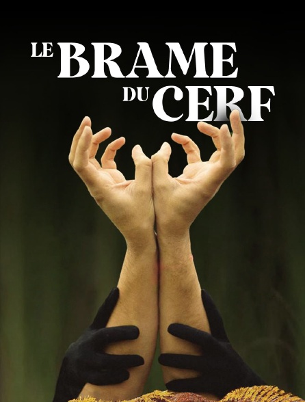 Le brame du cerf