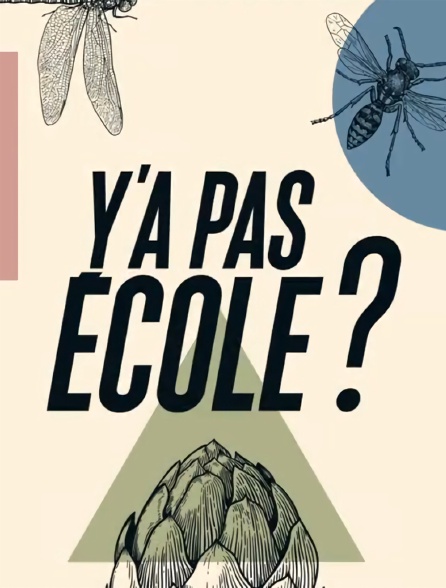 Y'a pas école ?