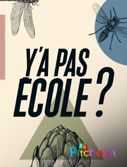 TV Pitchoun - Y'a pas école ?