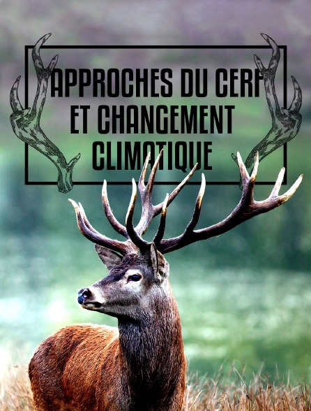 Approches du cerf et changement climatique