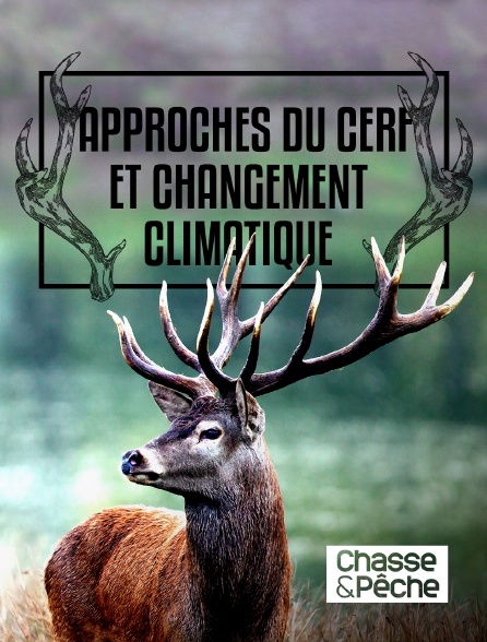 Chasse et pêche - Approches du cerf et changement climatique